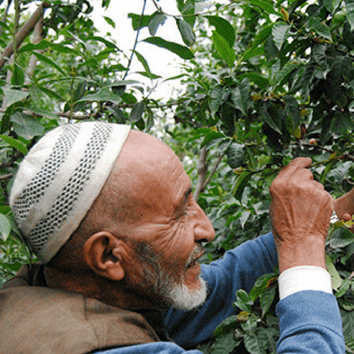 Out Of The Grey Coffee Thoughtfully Sourced | Roasted Daily | Shipping Truly Extraordinary Coffee!